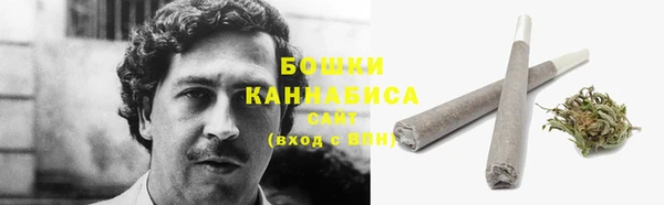 ПСИЛОЦИБИНОВЫЕ ГРИБЫ Балахна