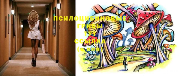 ГАЛЛЮЦИНОГЕННЫЕ ГРИБЫ Балабаново