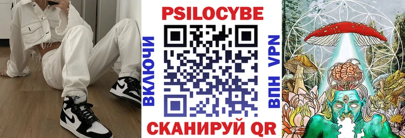 Псилоцибиновые грибы мицелий Верещагино